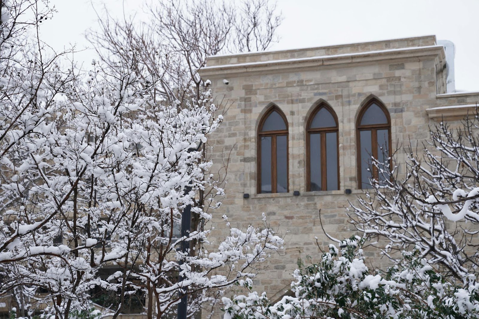 Best Energy-Efficient Windows for Homes in the USA